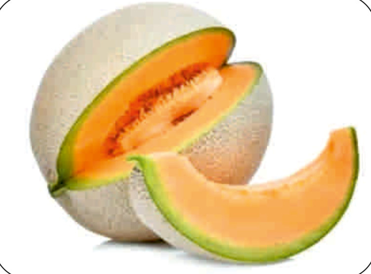 UAT-AROMA F1 muskmelon