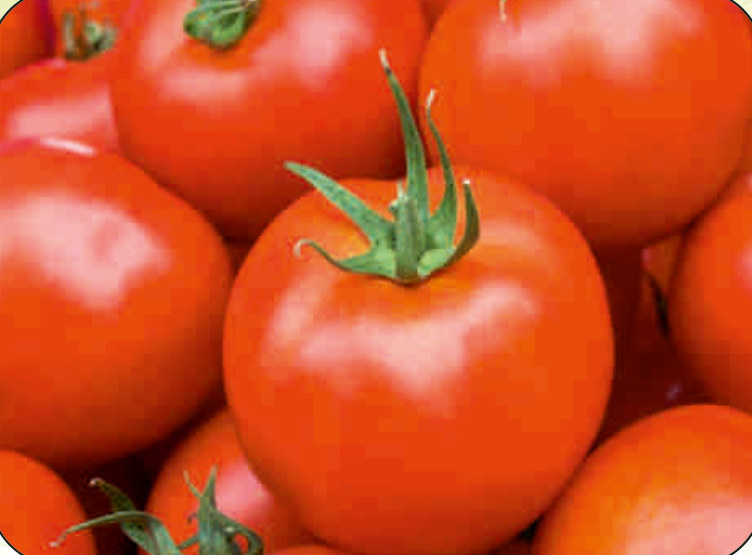 UAT-POWER F1 tomato