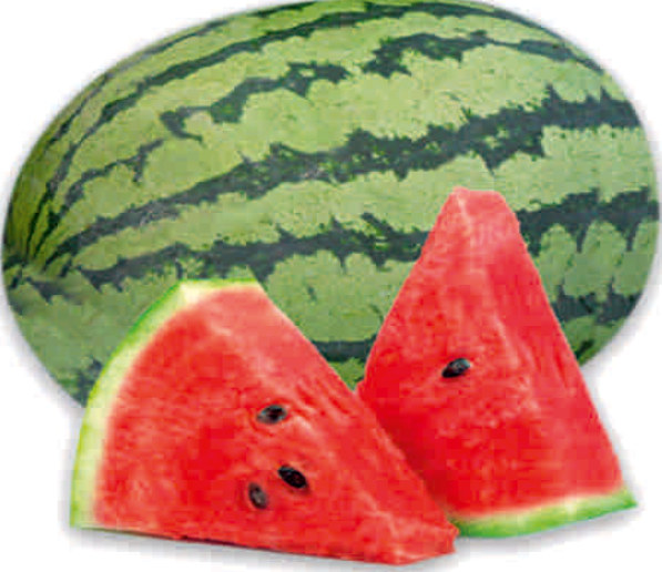 UAT-SAMURAI F1 watermelon